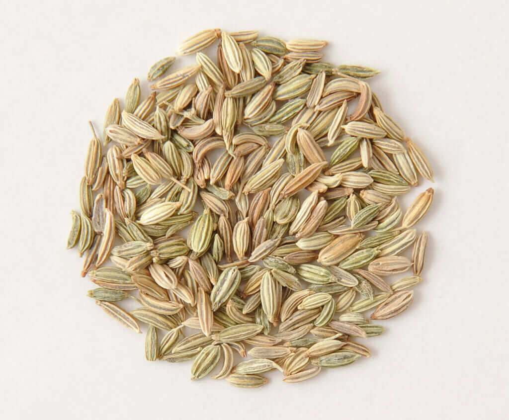 フェンネルとはどんなスパイス カレーマニアが解説 フードマニア Food Mania By 旭屋出版 フェンネルとはどんなスパイス カレーマニアが解説 フードマニア Food Mania By 旭屋出版