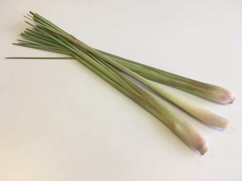 レモングラスとはどんなスパイス カレーマニアが解説 フードマニア Food Mania By 旭屋出版