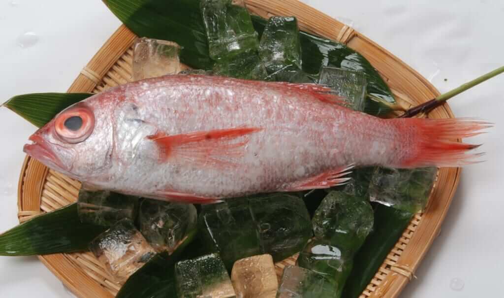 ムツの刺身とは 旬の時期も含めてすしマニアが解説 フードマニア Food Mania By 旭屋出版