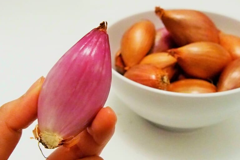 エシャロットとはどんなもの？エシャレットとの違いは？お宝食材探検隊がわかりやすく解説 - フードマニア Food Mania by 旭屋出版