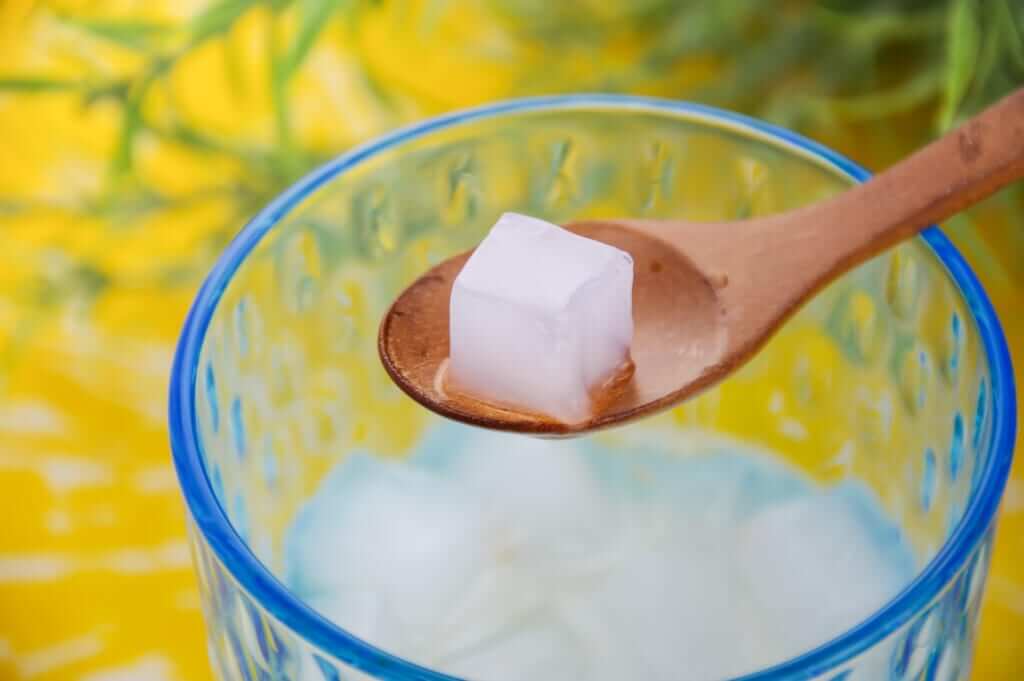 ナタデココとは？気になる原料は？フードマニア編集部がわかりやすく解説 - フードマニア Food Mania by 旭屋出版